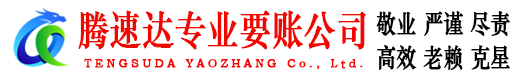 东宝讨债公司